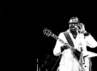 Albert_King_1981_s7