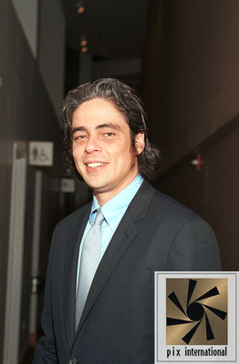 Benicio_Del_Toro26afs.jpg